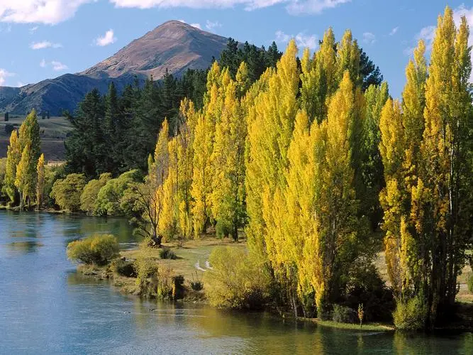 高效数字化创意